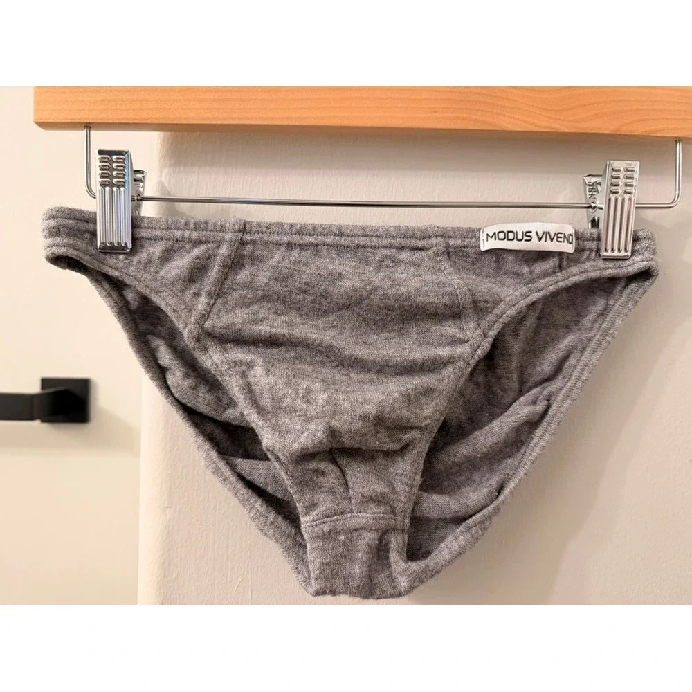 Modus Vivendi Briefs Mens Medium Heather Grey